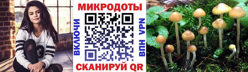 Галлюциногенные грибы ЛСД Буйнакск